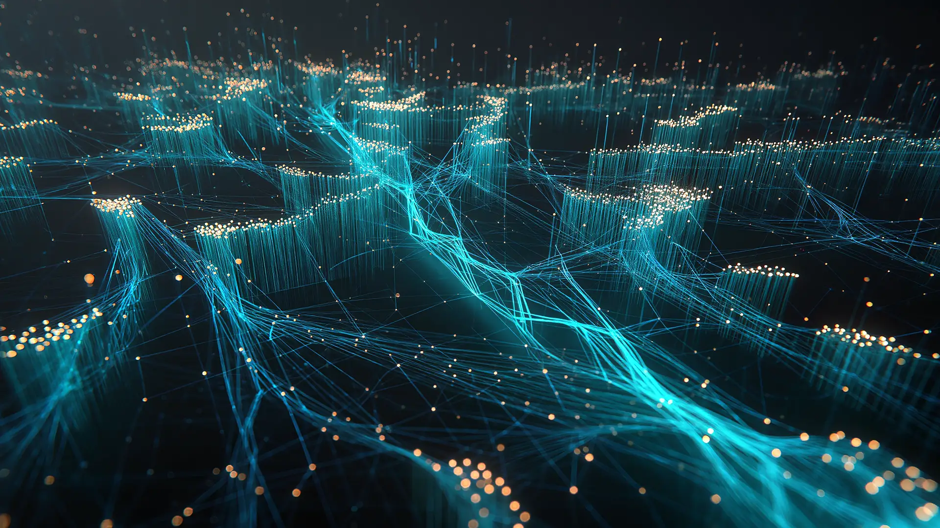 Digital Architecture & Brand Systems